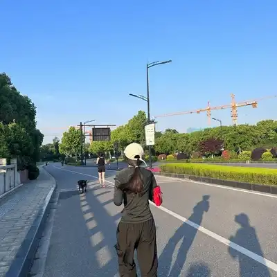 金梓民